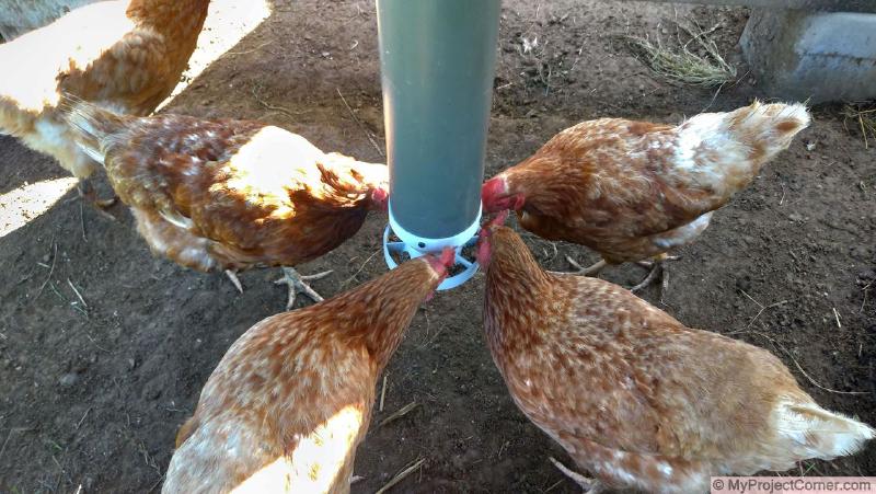 3D printed chicken feeder for PVC pipe