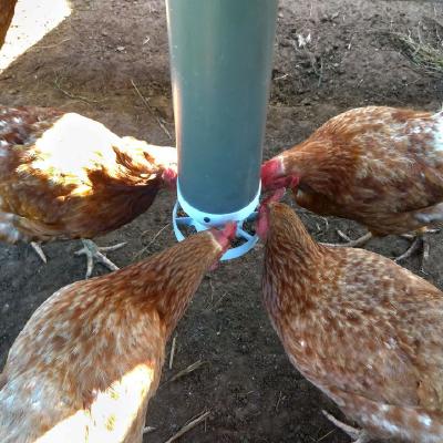3D Printed Chicken Feeder
