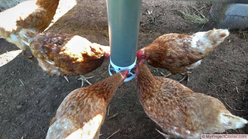 Alimentador de pollos impreso en 3D para el tubo de PVC