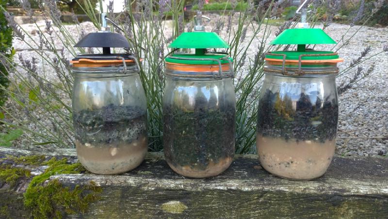 Storage jar fly trap full of flies