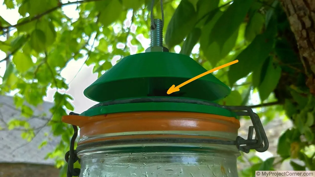 Ajout d’excrément de poulet pour aider à attirer les mouches