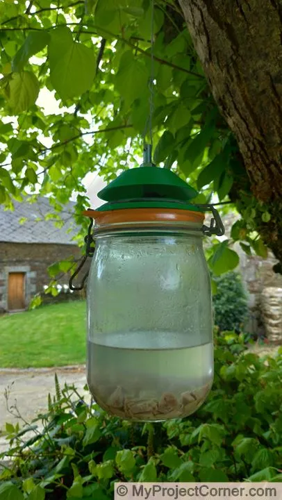 Piège à mouches imprimé en 3d, appâté et prêt pour les mouches