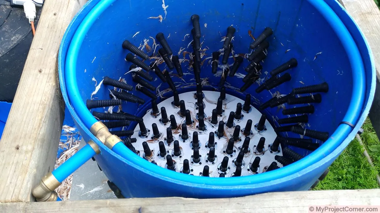 Vue de l'intérieur d'une plumeuse de poulet