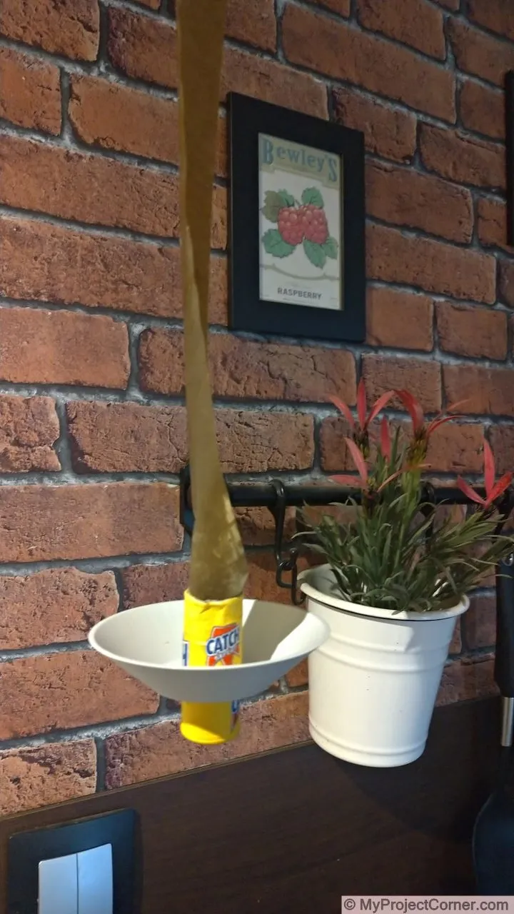 El atrapamoscas pegajoso impreso en 3D colgó