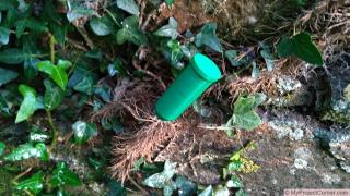 3D Printed Ivy Killer